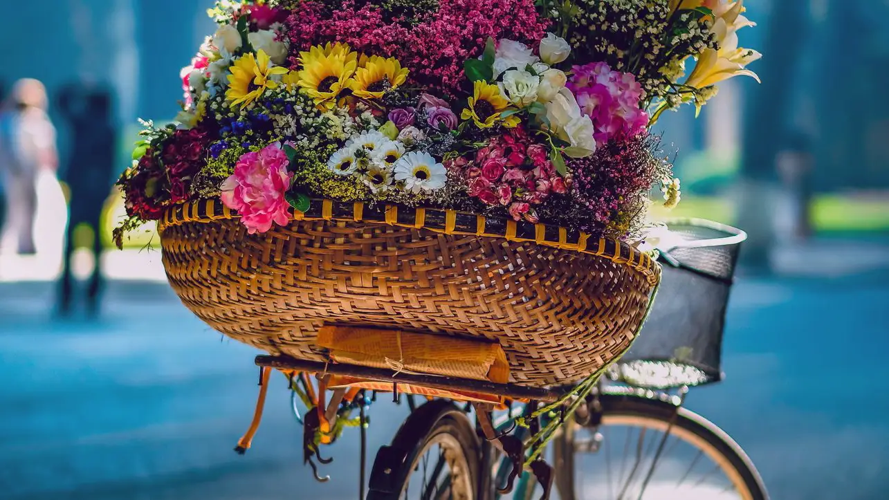 Bouquet fleuri sur panier tressé vélo