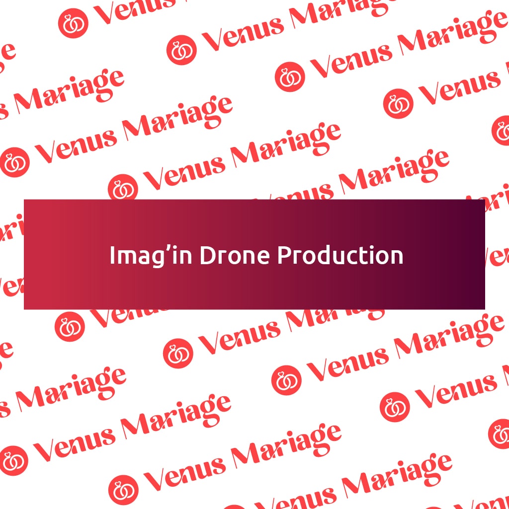 logo imag in drone production.jpeg